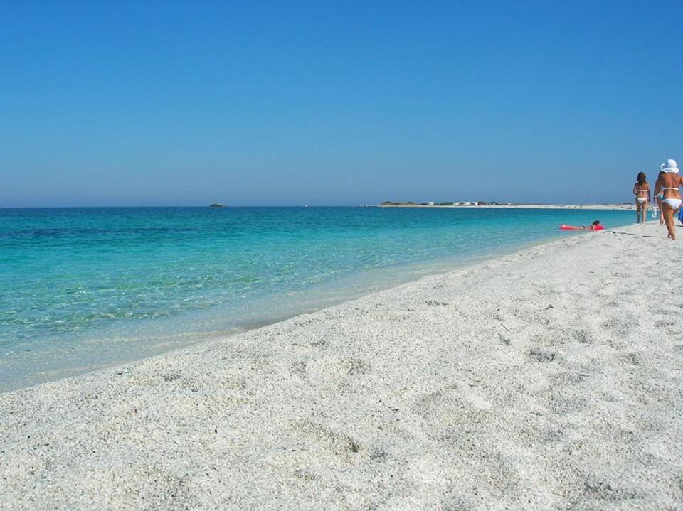 Sardinia Eco Vegan House Bed & Breakfast Zeddiani Exterior photo