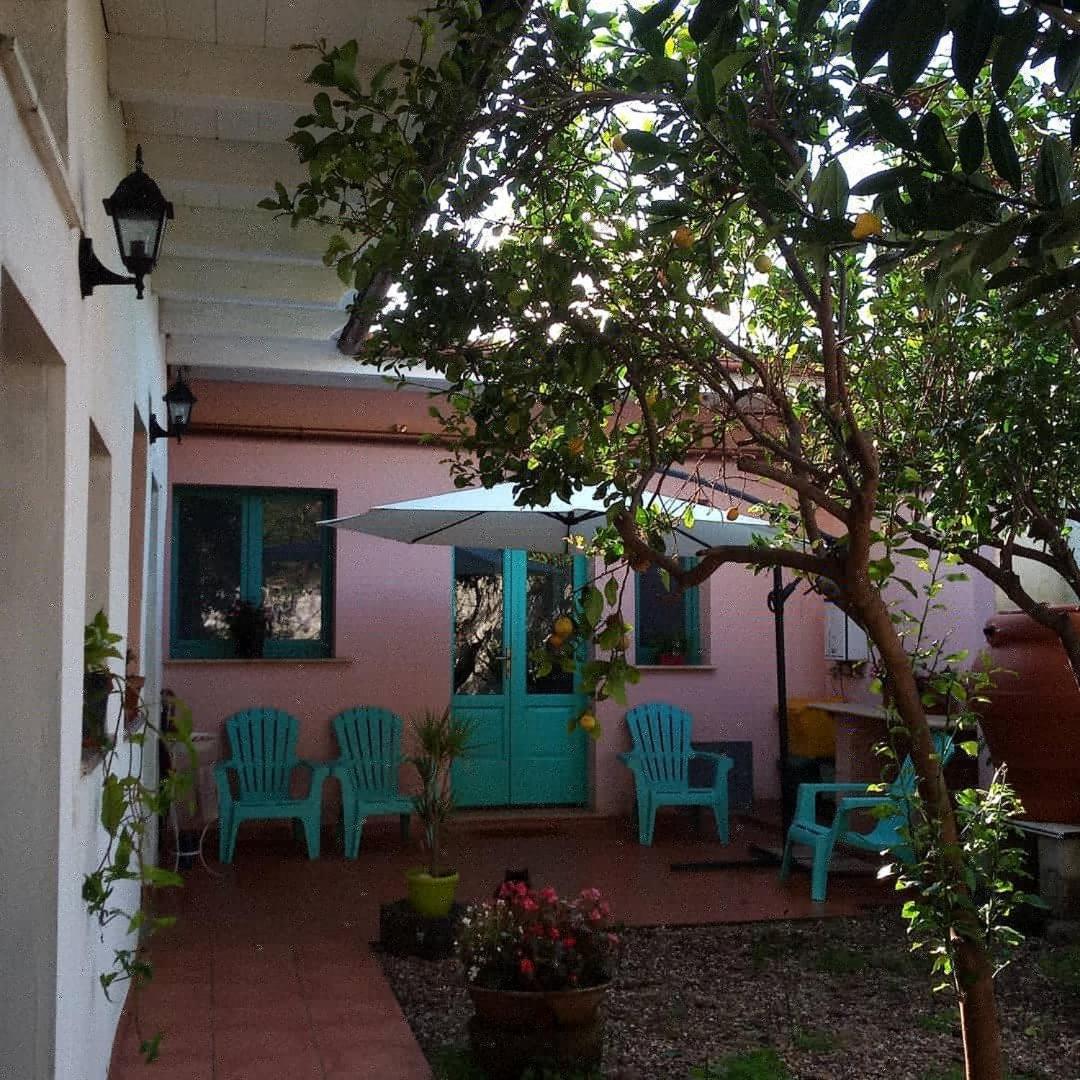 Sardinia Eco Vegan House Bed & Breakfast Zeddiani Exterior photo